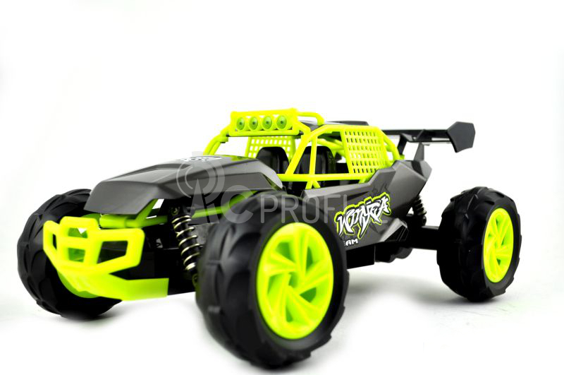 RC auto buggy W3679