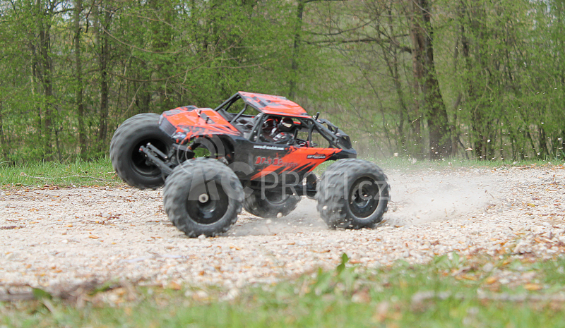 RC auto DF-4 BL Truck 1:8 brushless