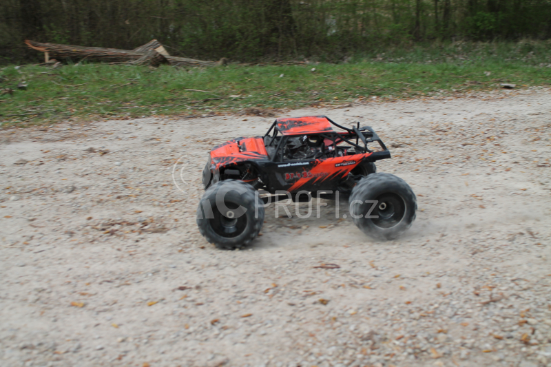RC auto DF-4 BL Truck 1:8 brushless