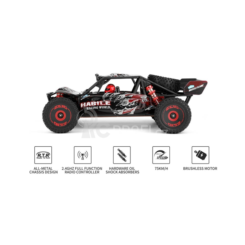 RC auto Esun Habile brushless 124016