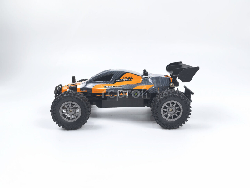 RC auto Rookie Fighter Buggy