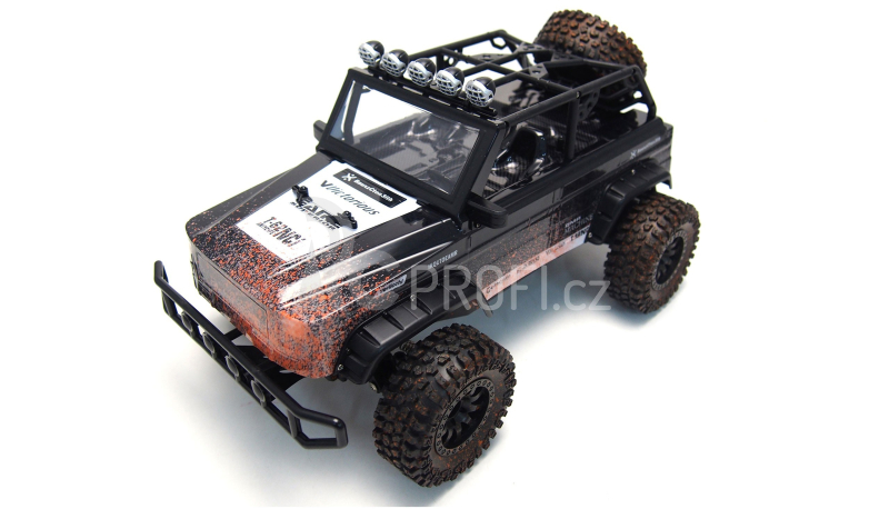 RC auto SUNNY