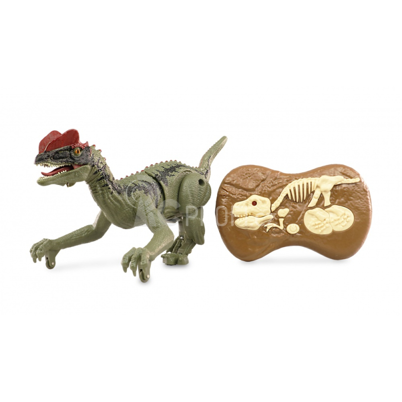 RC dinosaurus Allosaurus
