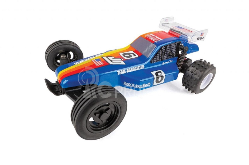 RC28 RTR Buggy Jammin' Jay Halsey Replica
