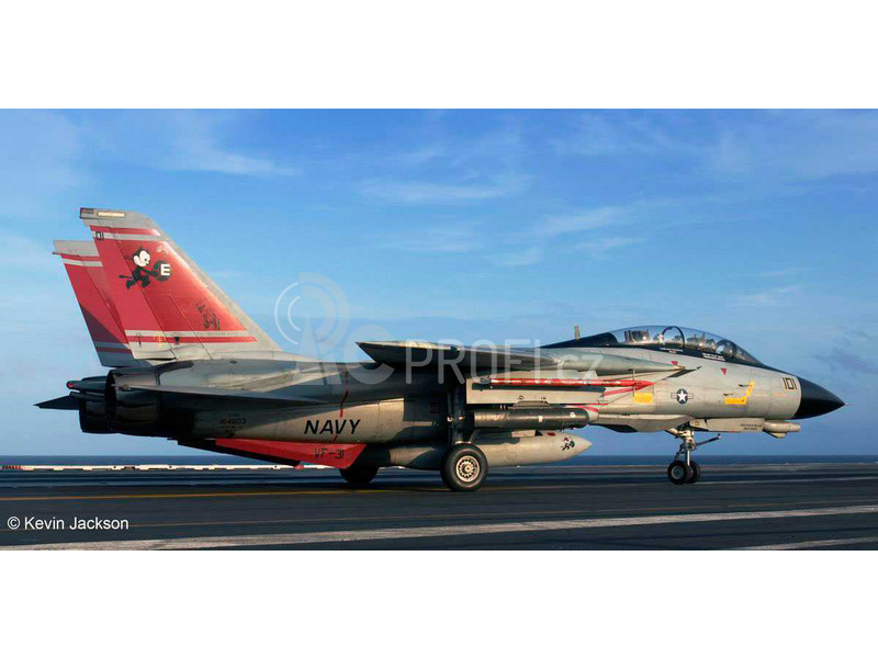 Revell F-14D Super Tomcat (1:72)