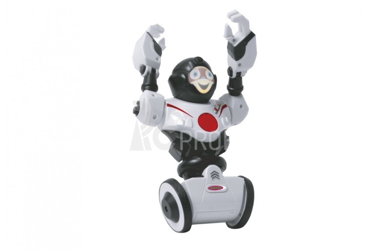 Robot Robibot