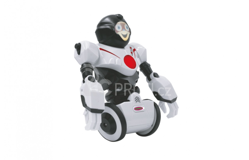 Robot Robibot