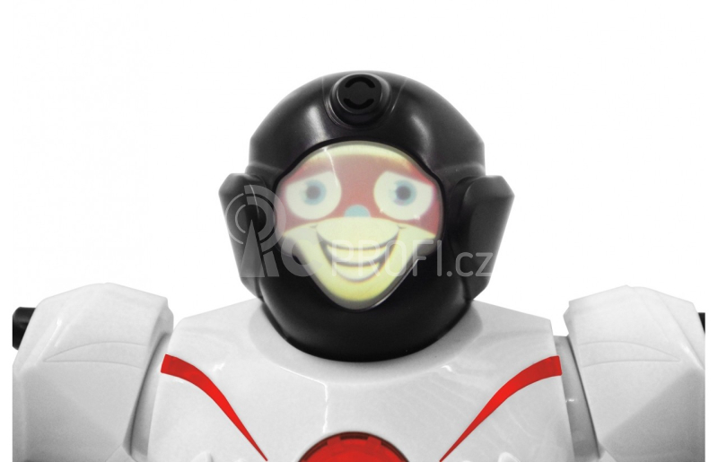 Robot Robibot
