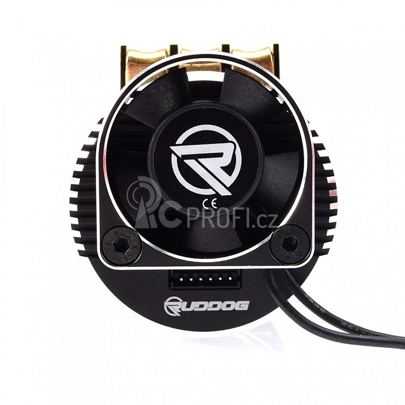 RP691 2600Kv Sensored Brushless/střidavý motor