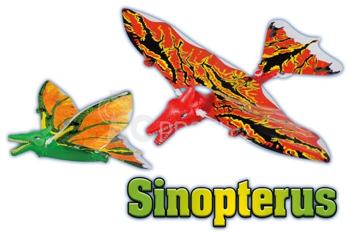 Sinopterus - gumáček