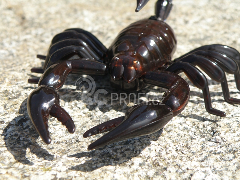 RC Škorpion, černý