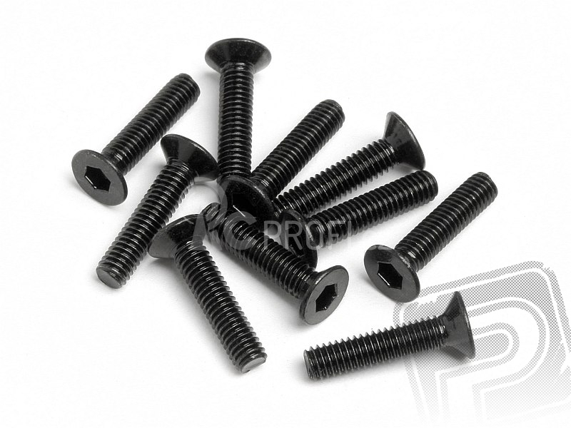 Šroub se záp. hlavou M2,5x12mm 10ks