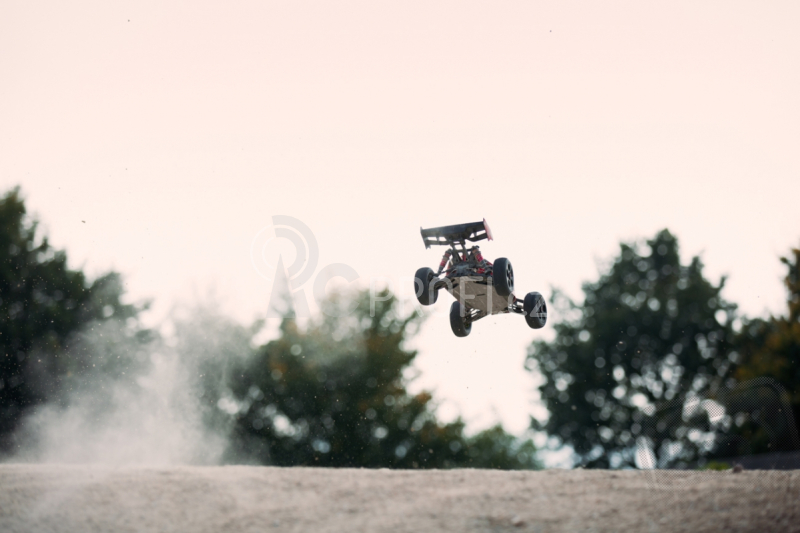 Typhon 6S Buggy 1/8 4WD RTR