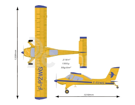 WILGA 2000 1330mm ARF
