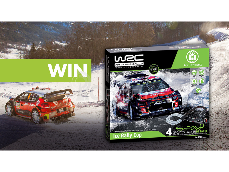 WRC Ice Rally Cup 1:43