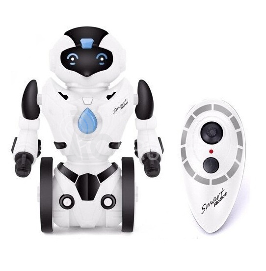 RC robot segway KidBe