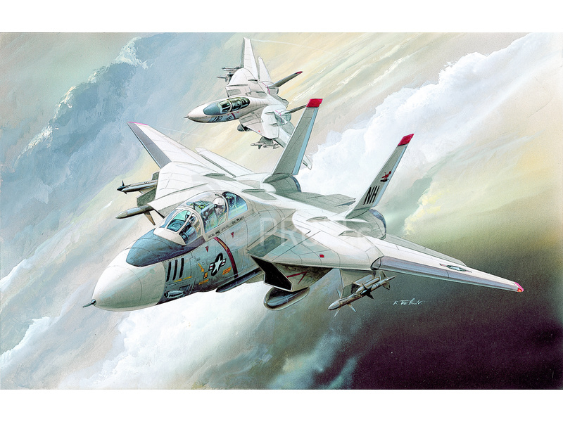 Academy Grumman F-14 Tomcat (1:144)