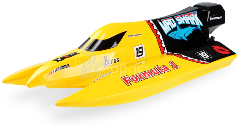 RC loď Mad Shark