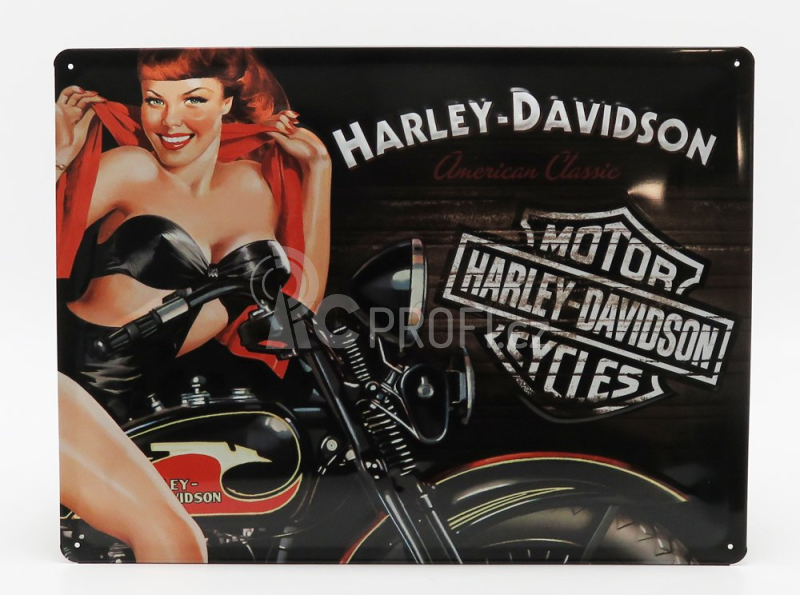Edicola Accessories 3d Metal Plate - Harley Davidson American Classic Biker Babe 1:1