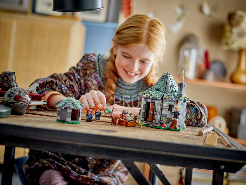LEGO Harry Potter - Hagridova bouda: Neočekávaná návštěva