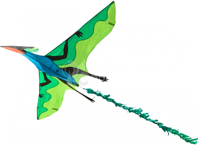 Létající drak Ptakoještěr 3D