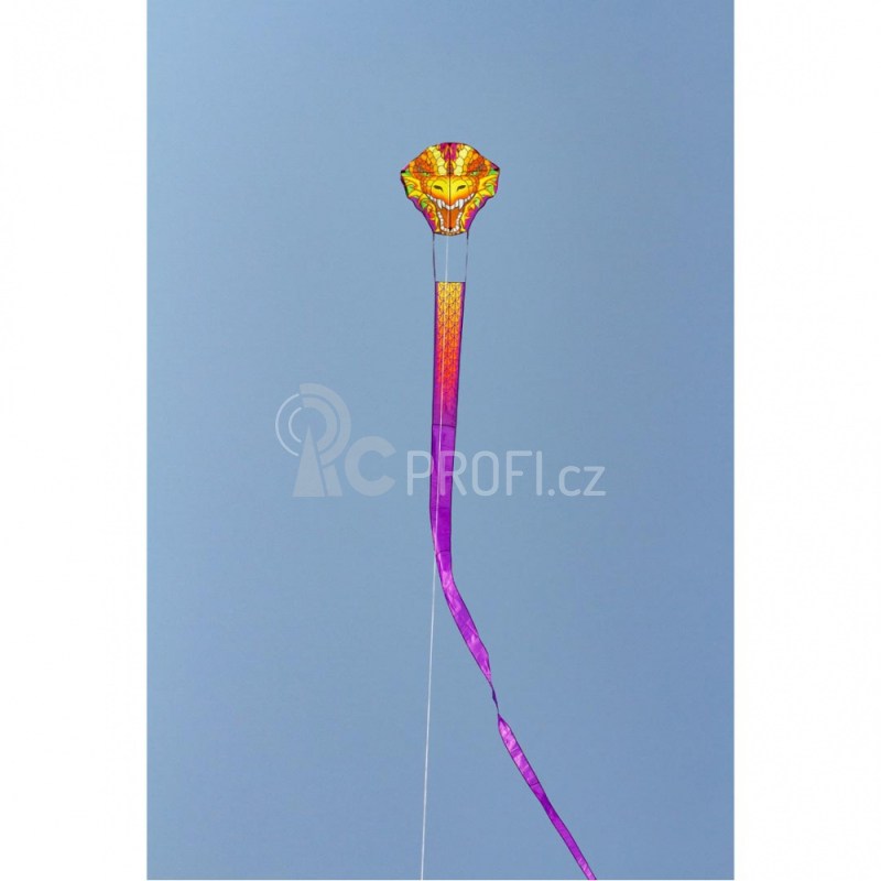 Létající drak Dragonhead Kite