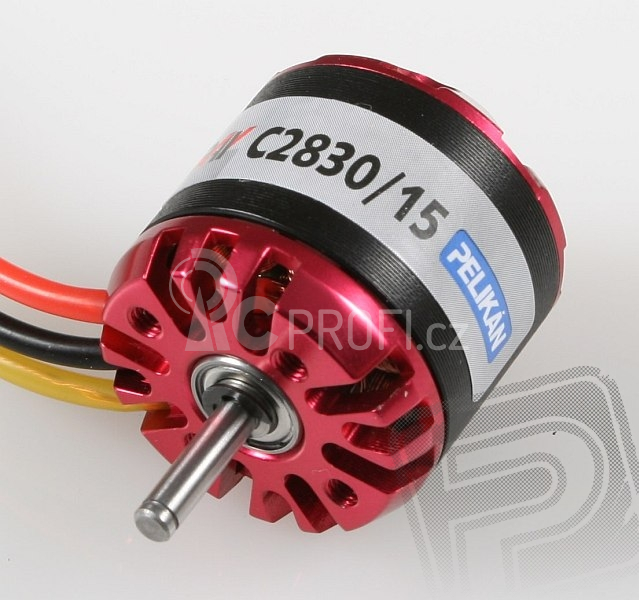 RAY C2830/15 outrunner brushless motor