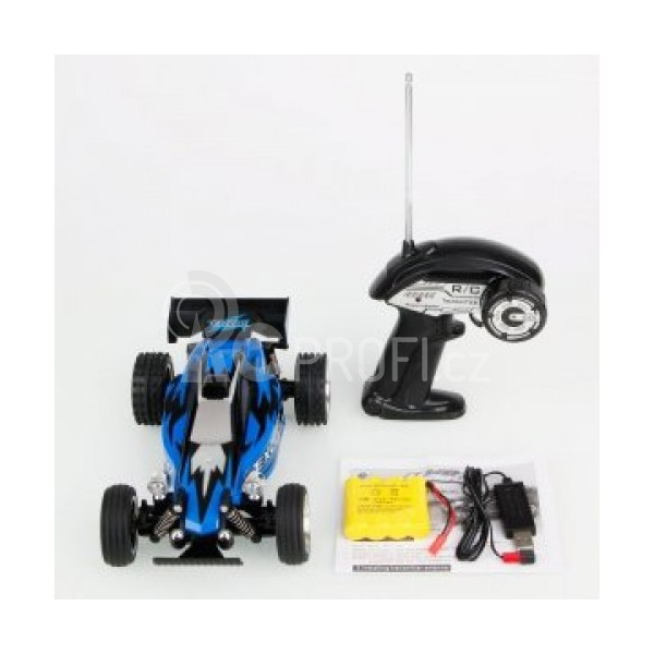 RC auto buggy Exceed