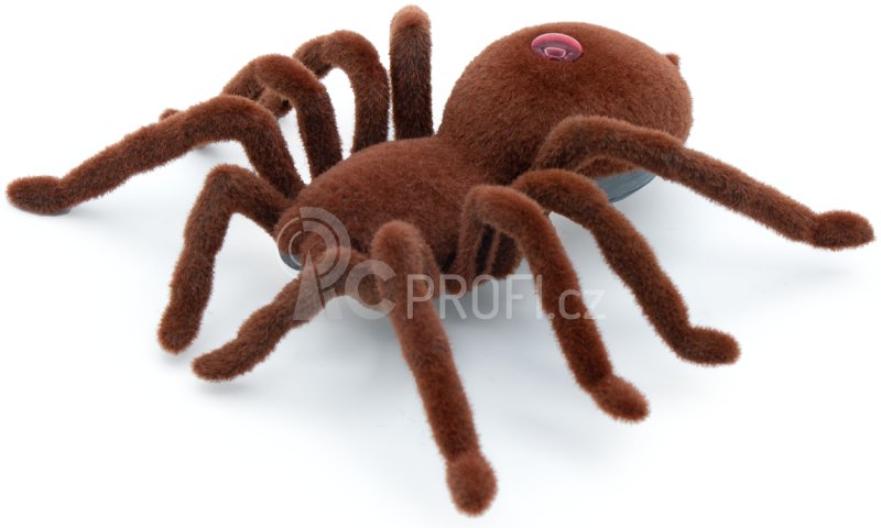 RC Tarantule