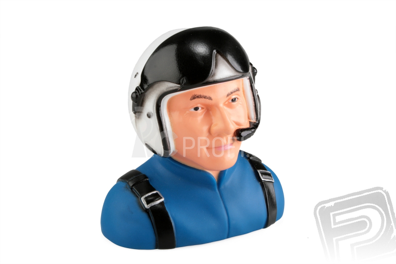 Sbach 342 - pilot