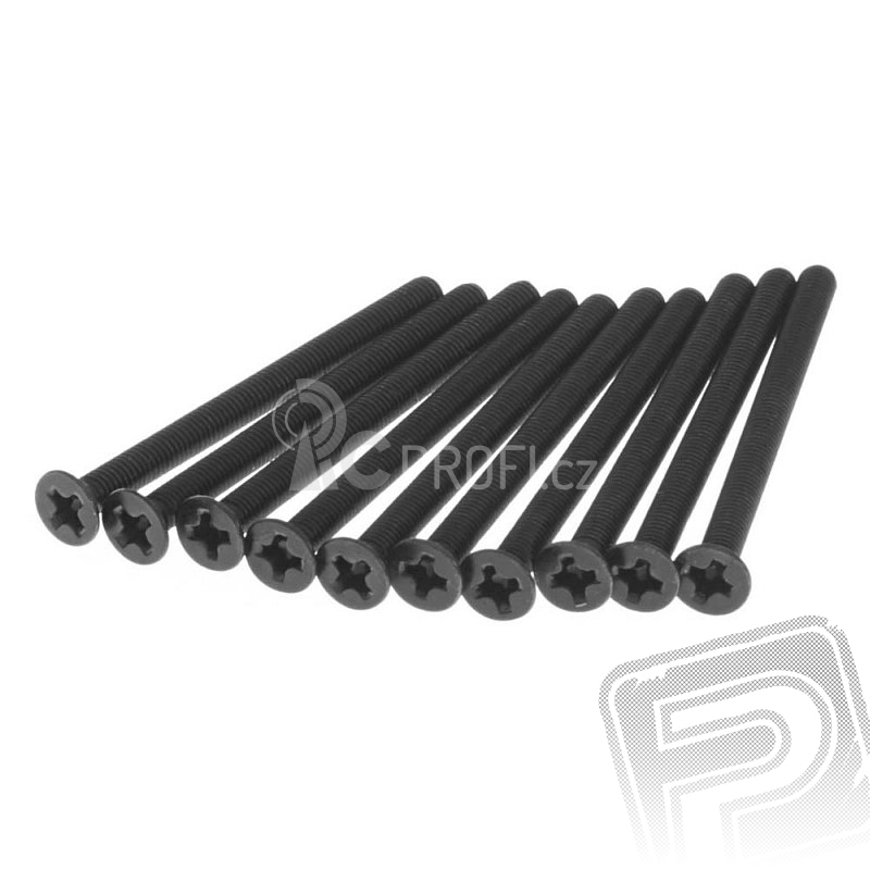 Šroub s zápustnou hlavou 3x40mm (10 ks.)