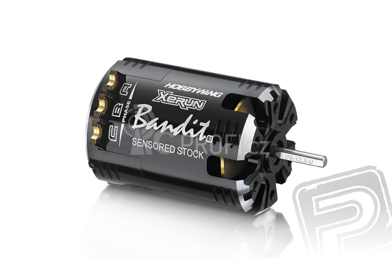 XERUN-BANDIT-V10 17,5T závitů - G2 - černý