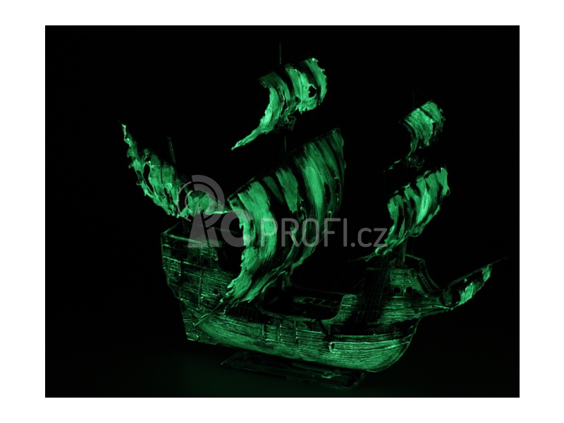 Zvezda Flying Dutchman (Ghost Ship) (1:100)