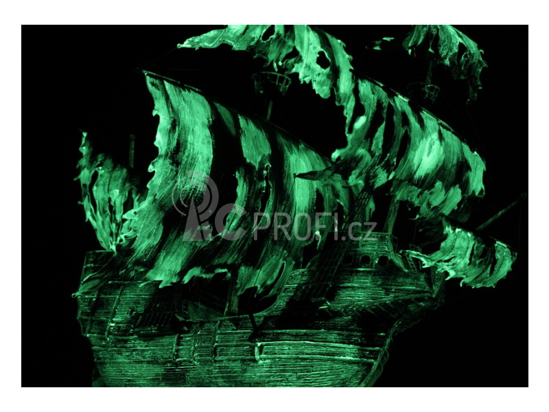 Zvezda Flying Dutchman (Ghost Ship) (1:100)